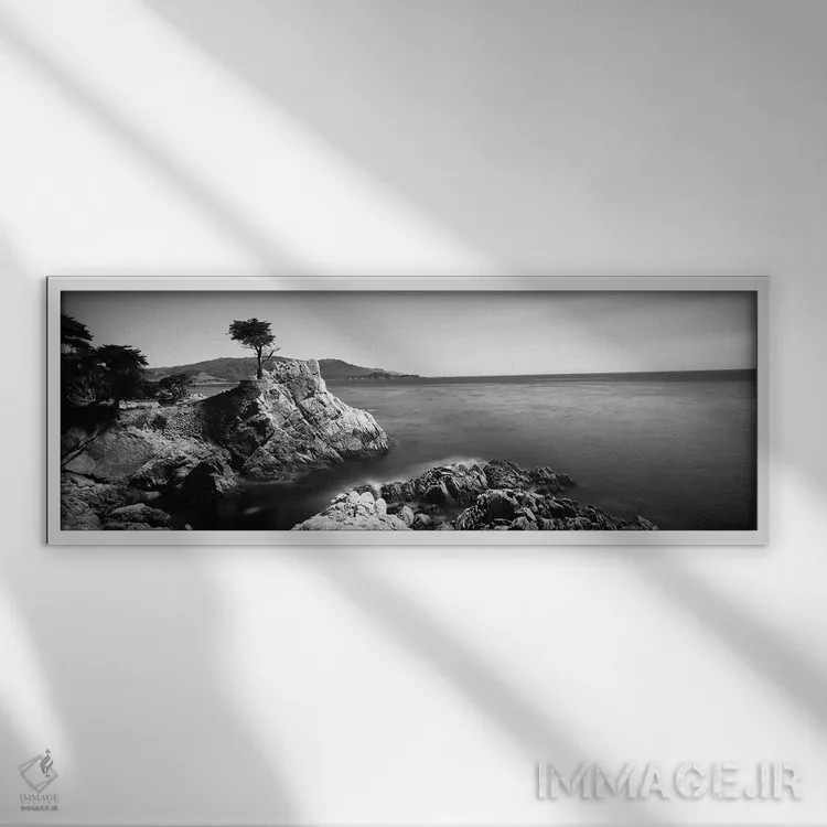 تابلو دکوراتیو 17-Mile Drive, California, USA" - "درخت سایپرس تنها، جا… اثر پانورامیک ایمجز - نمای قابدار سفید