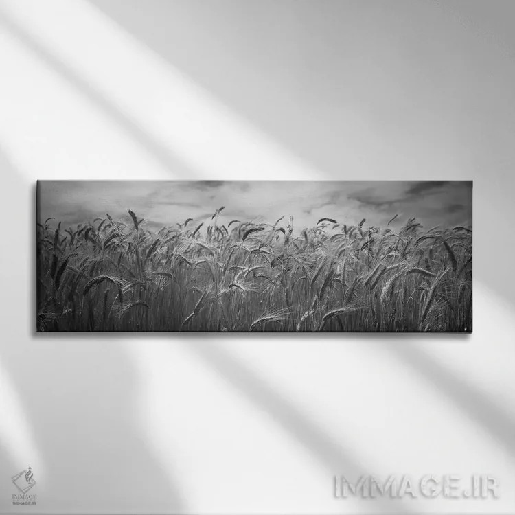 تابلو دکوراتیو محصول گندم در حال رشد در یک مزرعه، منطقه پالوس، ایالت و… اثر پانورامیک ایمجز - نمای روبهرو روی دیوار