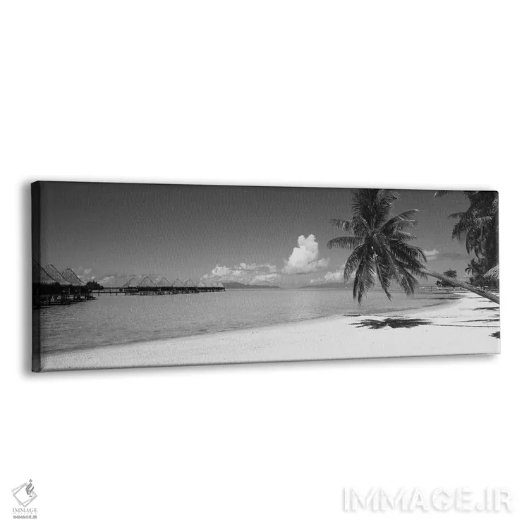 تابلو دکوراتیو درخت نخل روی ساحل، ساحل موانا، بورابورا، تاهیتی، پلی نز… اثر پانورامیک ایمجز - نمای پرسپکتیو محصول