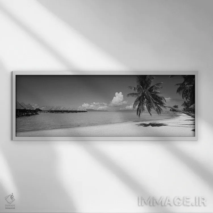 تابلو دکوراتیو درخت نخل روی ساحل، ساحل موانا، بورابورا، تاهیتی، پلی نز… اثر پانورامیک ایمجز - نمای قابدار سفید