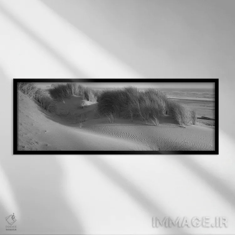 تابلو دکوراتیو چمن روی ساحل، اقیانوس آرام، منطقه طبیعی باندون استیت، ب… اثر پانورامیک ایمجز - نمای قابدار مشکی