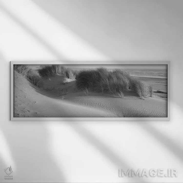 تابلو دکوراتیو چمن روی ساحل، اقیانوس آرام، منطقه طبیعی باندون استیت، ب… اثر پانورامیک ایمجز - نمای قابدار سفید