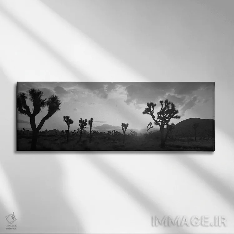 تابلو دکوراتیو غروب خورشید، پارک درخت یوشا، کالیفرنیا، ایالات متحده آم… اثر پانورامیک ایمجز - نمای روبهرو روی دیوار
