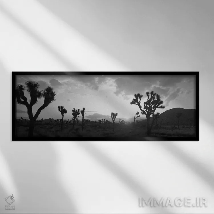 تابلو دکوراتیو غروب خورشید، پارک درخت یوشا، کالیفرنیا، ایالات متحده آم… اثر پانورامیک ایمجز - نمای قابدار مشکی