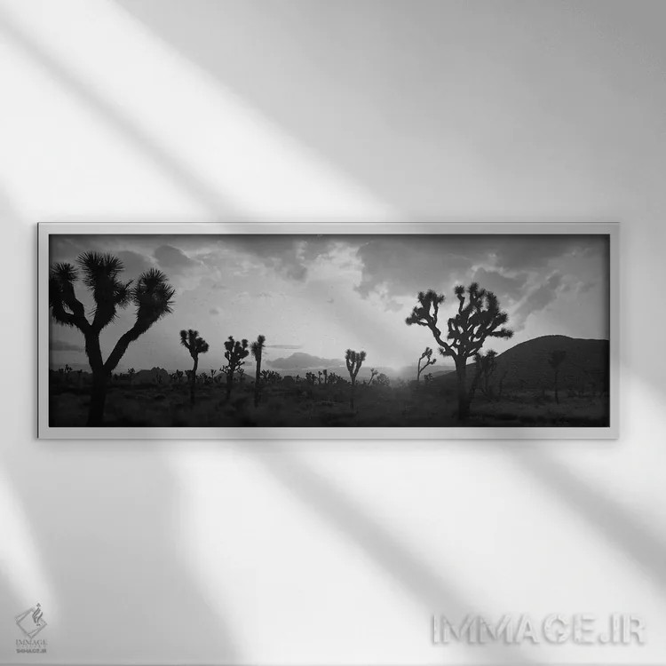 تابلو دکوراتیو غروب خورشید، پارک درخت یوشا، کالیفرنیا، ایالات متحده آم… اثر پانورامیک ایمجز - نمای قابدار سفید