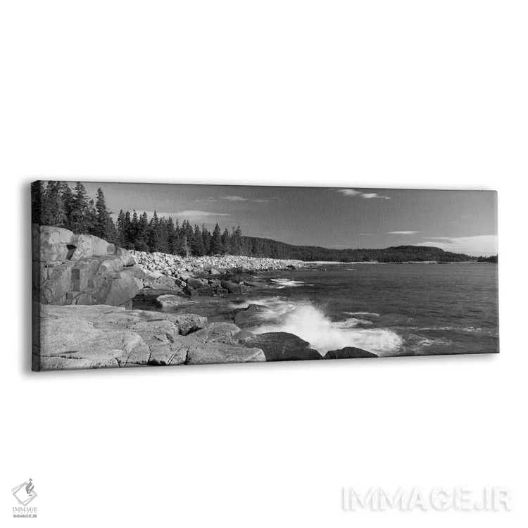تابلو دکوراتیو امواج شکسته شده روی صخره ها در ساحل، پارک ملی آکادیا، ش… اثر پانورامیک ایمجز - نمای پرسپکتیو محصول