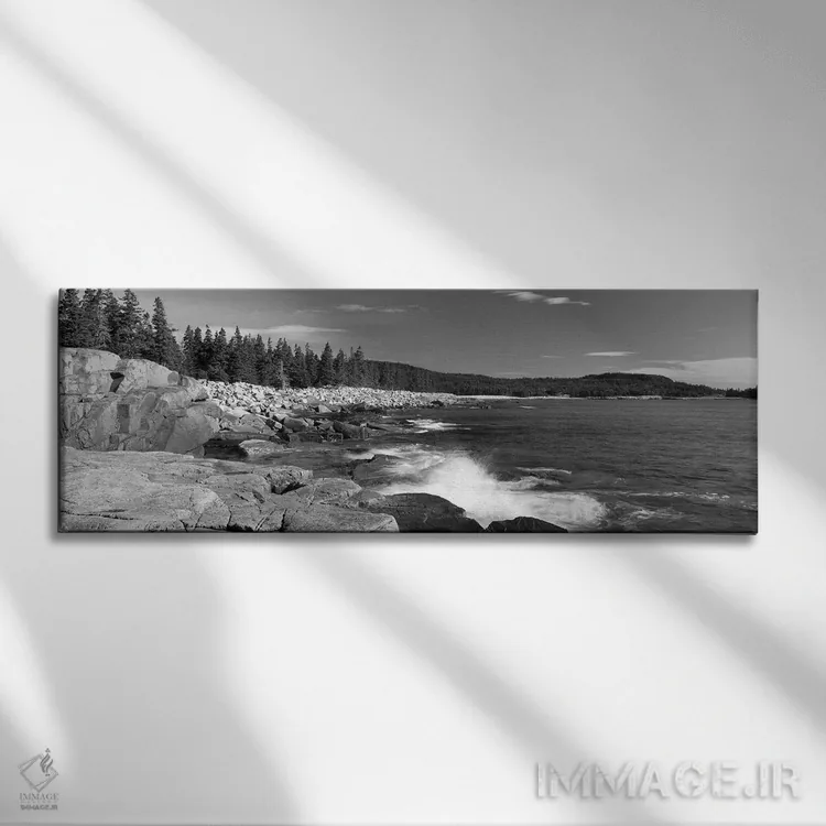 تابلو دکوراتیو امواج شکسته شده روی صخره ها در ساحل، پارک ملی آکادیا، ش… اثر پانورامیک ایمجز - نمای روبهرو روی دیوار