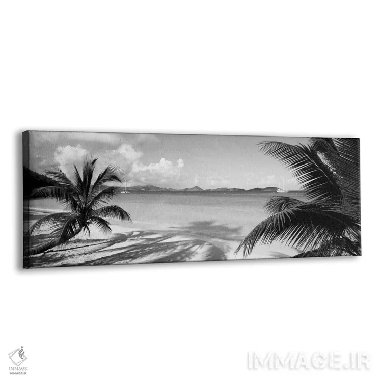 تابلو دکوراتیو درختان نخل در ساحل، جزایر ویرجین ایالات متحده آمریکا اثر پانورامیک ایمجز - نمای پرسپکتیو محصول