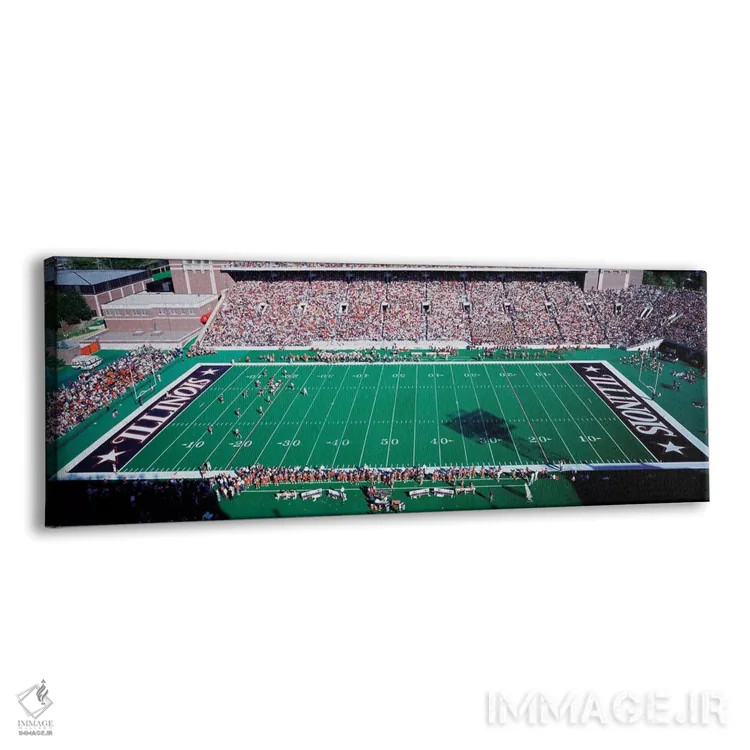 تابلو دکوراتیو استادیوم یادبود، شامپاین، ایالت ایلینوی، ایالات متحده آ… اثر پانورامیک ایمجز - نمای پرسپکتیو محصول