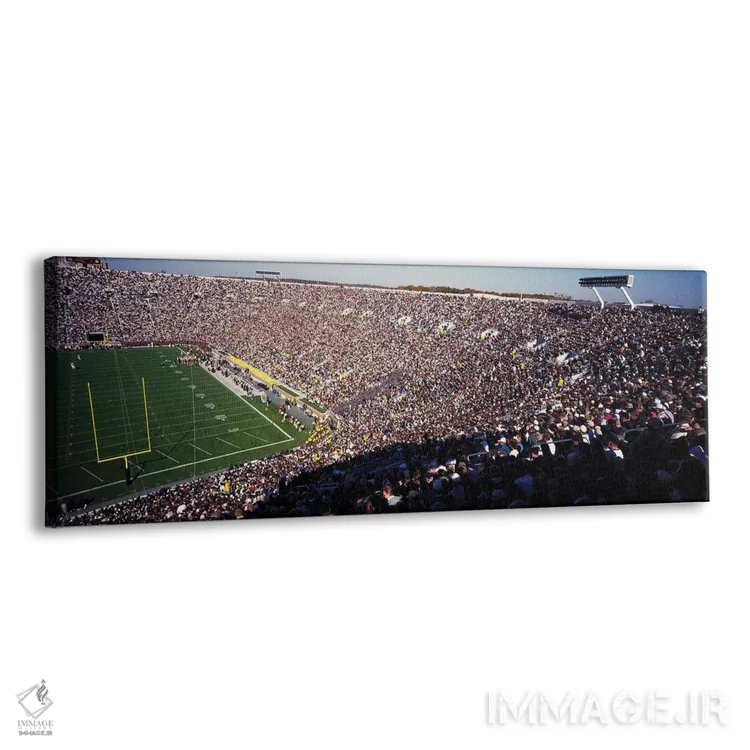 تابلو دکوراتیو استادیوم نوتردام، ایالات متحده آمریکا اثر پانورامیک ایمجز - نمای پرسپکتیو محصول