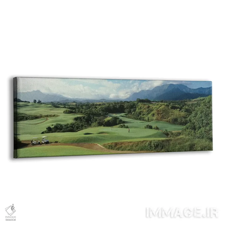 تابلو دکوراتیو نمای زاویه بلند از زمین گلف، زمین گلف پرنسویل، پرنسویل… اثر پانورامیک ایمجز - نمای پرسپکتیو محصول