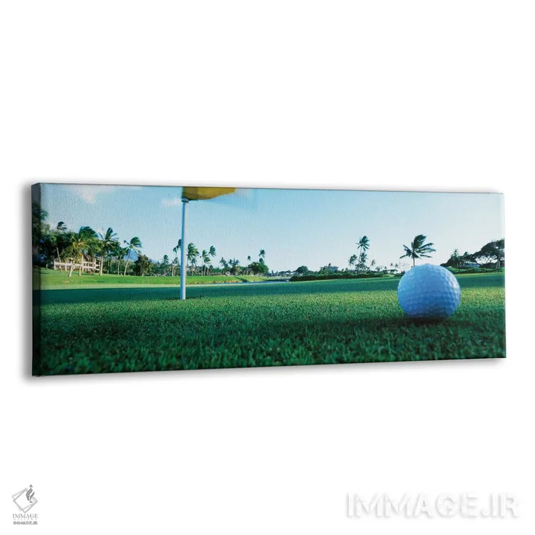 تابلو دکوراتیو نمای نزدیک توپ گلف و سوراخ، هاوایی، ایالات متحده آمریکا اثر پانورامیک ایمجز - نمای پرسپکتیو محصول