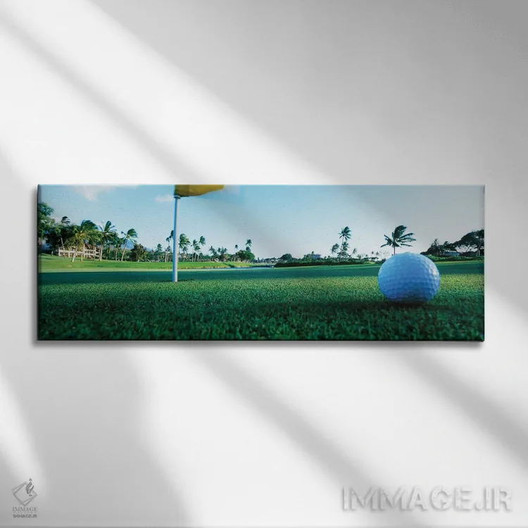 تابلو دکوراتیو نمای نزدیک توپ گلف و سوراخ، هاوایی، ایالات متحده آمریکا اثر پانورامیک ایمجز - نمای روبهرو روی دیوار