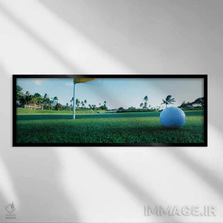 تابلو دکوراتیو نمای نزدیک توپ گلف و سوراخ، هاوایی، ایالات متحده آمریکا اثر پانورامیک ایمجز - نمای قابدار مشکی