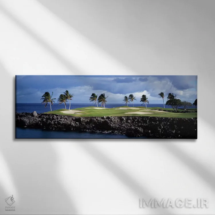 تابلو دکوراتیو چمن زار سرسبز پر از درخت خرماهای استوایی، هاوایی، ایالا… اثر پانورامیک ایمجز - نمای روبهرو روی دیوار