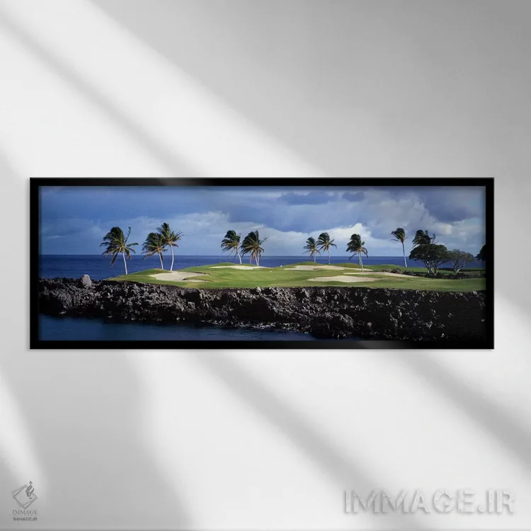 تابلو دکوراتیو چمن زار سرسبز پر از درخت خرماهای استوایی، هاوایی، ایالا… اثر پانورامیک ایمجز - نمای قابدار مشکی