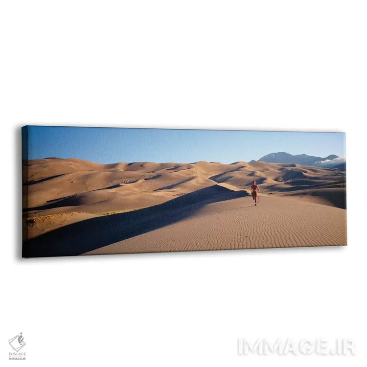 تابلو دکوراتیو نمای نزدیک از زن در حال دویدن در صحرای، یادبود ملی تپه… اثر پانورامیک ایمجز - نمای پرسپکتیو محصول