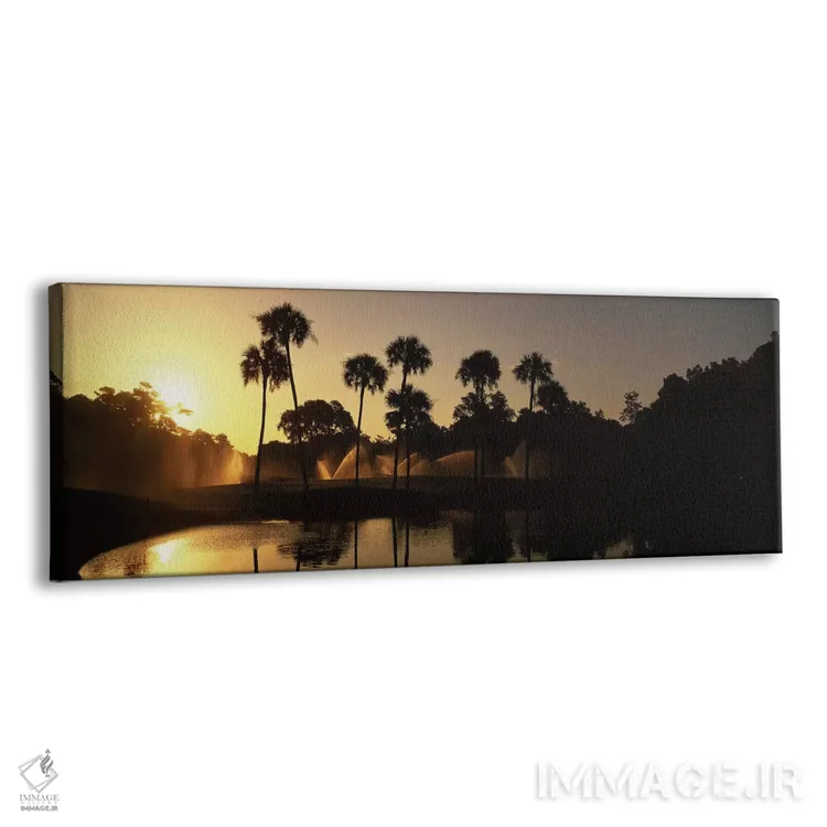 تابلو دکوراتیو سایه روشن درختان خرما در طلوع آفتاب، استراحتگاه گلف کیا… اثر پانورامیک ایمجز - نمای پرسپکتیو محصول