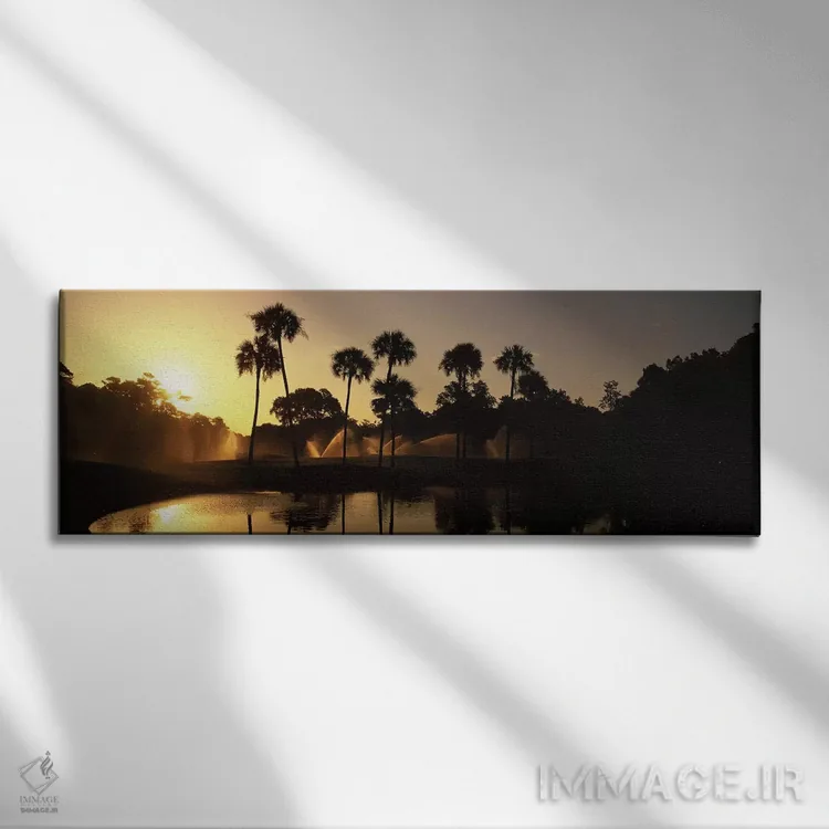 تابلو دکوراتیو سایه روشن درختان خرما در طلوع آفتاب، استراحتگاه گلف کیا… اثر پانورامیک ایمجز - نمای روبهرو روی دیوار