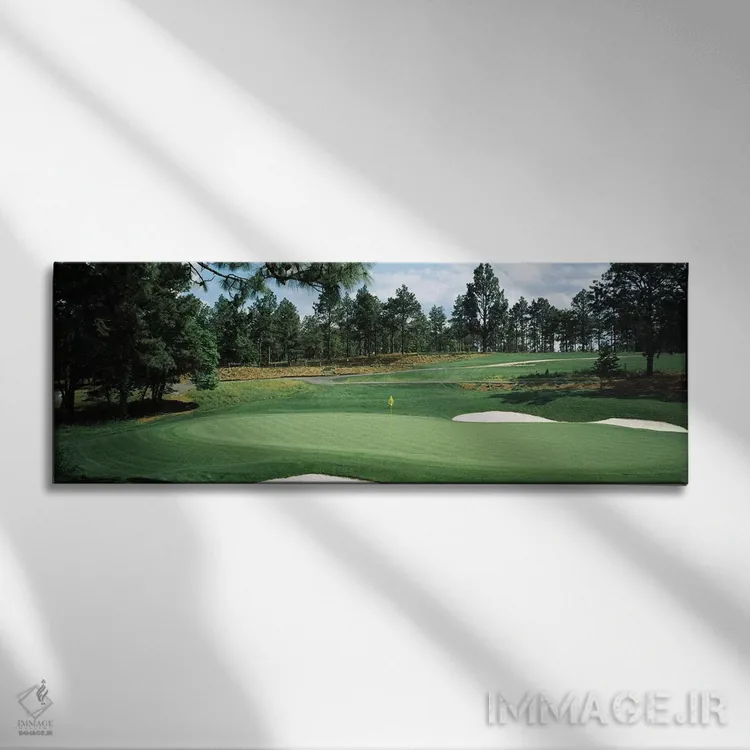 تابلو دکوراتیو زمین گلف، زمین گلف پاین نیلز، سادرن پاینز، شهرستان مور… اثر پانورامیک ایمجز - نمای روبهرو روی دیوار