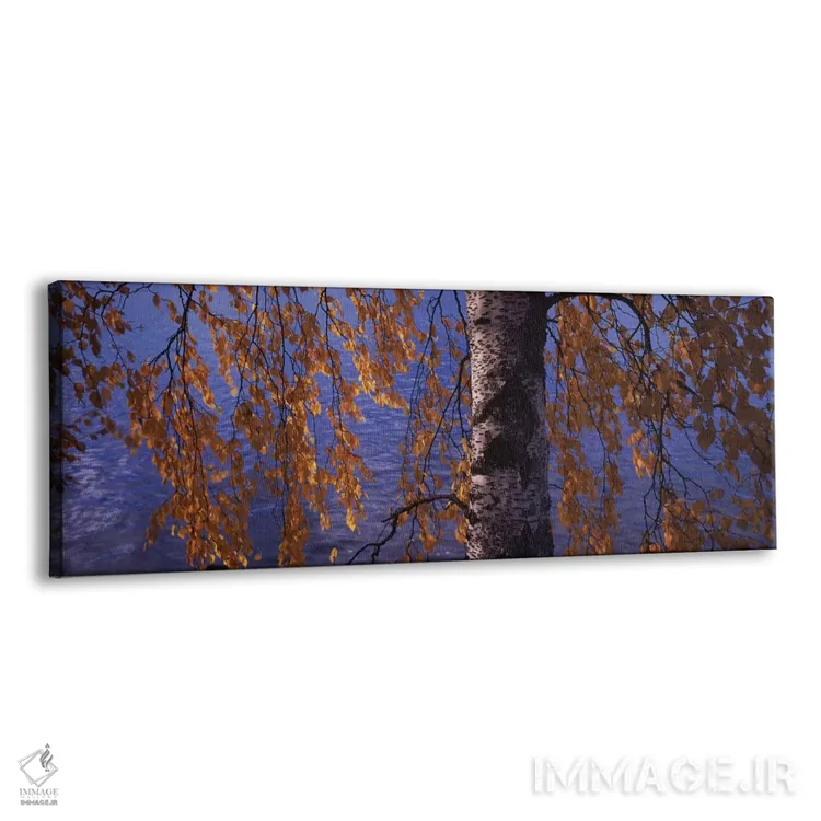 تابلو دکوراتیو برگ های درخت بید، رودخانه ووکسی، ایماترا، فنلاند اثر پانورامیک ایمجز - نمای پرسپکتیو محصول