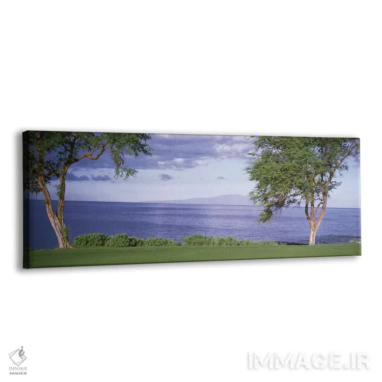 تابلو دکوراتیو Makena, Maui, Hawai'i, USA" - "زمین گلف ماکنا VI، ماکنا… اثر پانورامیک ایمجز - نمای پرسپکتیو محصول