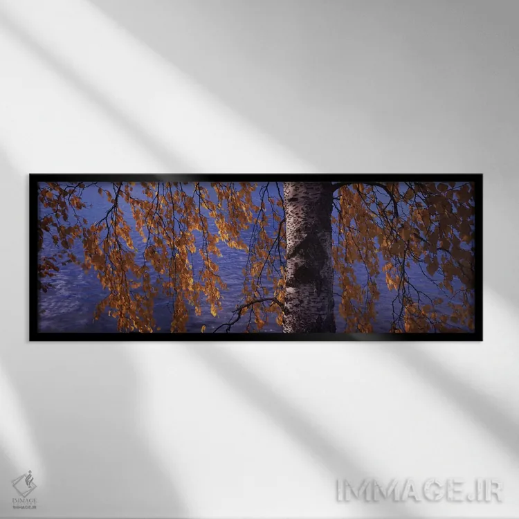 تابلو دکوراتیو برگ های درخت بید، رودخانه ووکسی، ایماترا، فنلاند اثر پانورامیک ایمجز - نمای قابدار مشکی