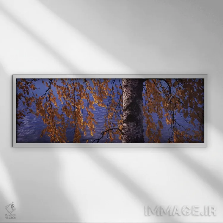 تابلو دکوراتیو برگ های درخت بید، رودخانه ووکسی، ایماترا، فنلاند اثر پانورامیک ایمجز - نمای قابدار سفید