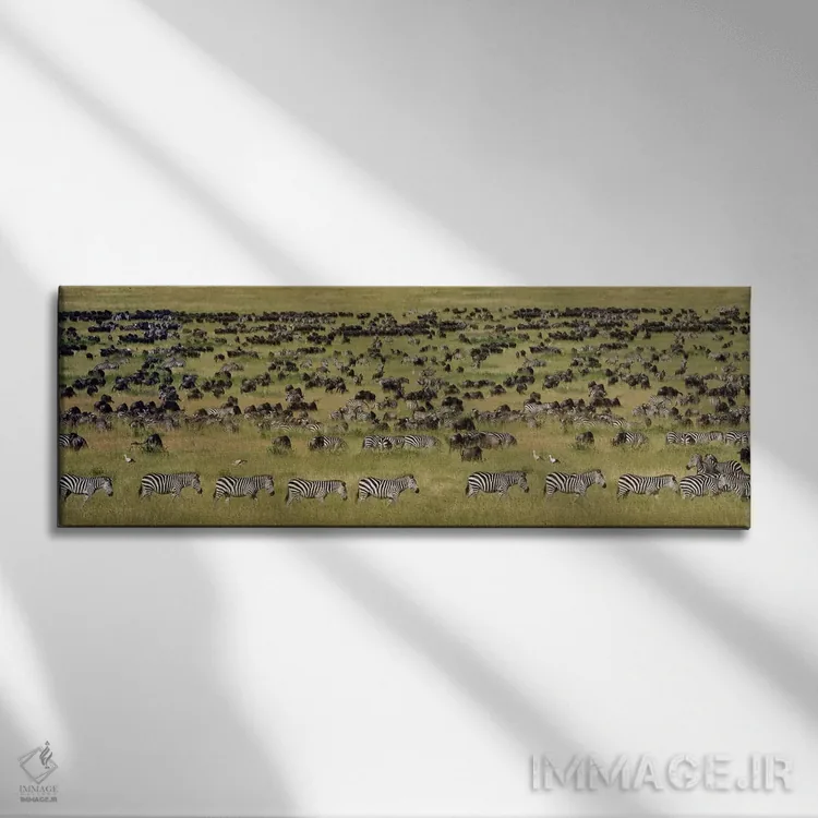 تابلو دکوراتیو Serengeti National Park, Tanzania" - "مهاجرت بزرگ I، پا… اثر پانورامیک ایمجز - نمای روبهرو روی دیوار