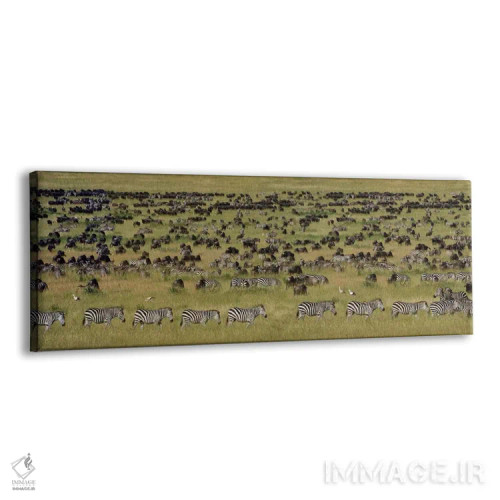 تابلو دکوراتیو Serengeti National Park, Tanzania" - "مهاجرت بزرگ I، پا… اثر پانورامیک ایمجز - نمای پرسپکتیو محصول