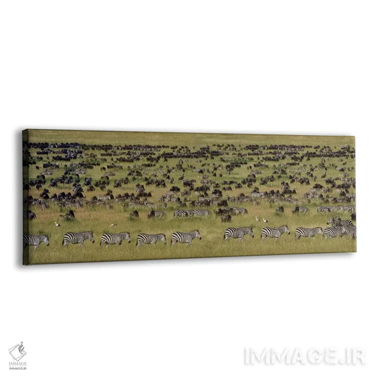 تابلو دکوراتیو Serengeti National Park, Tanzania" - "مهاجرت بزرگ I، پا… اثر پانورامیک ایمجز - نمای پرسپکتیو محصول