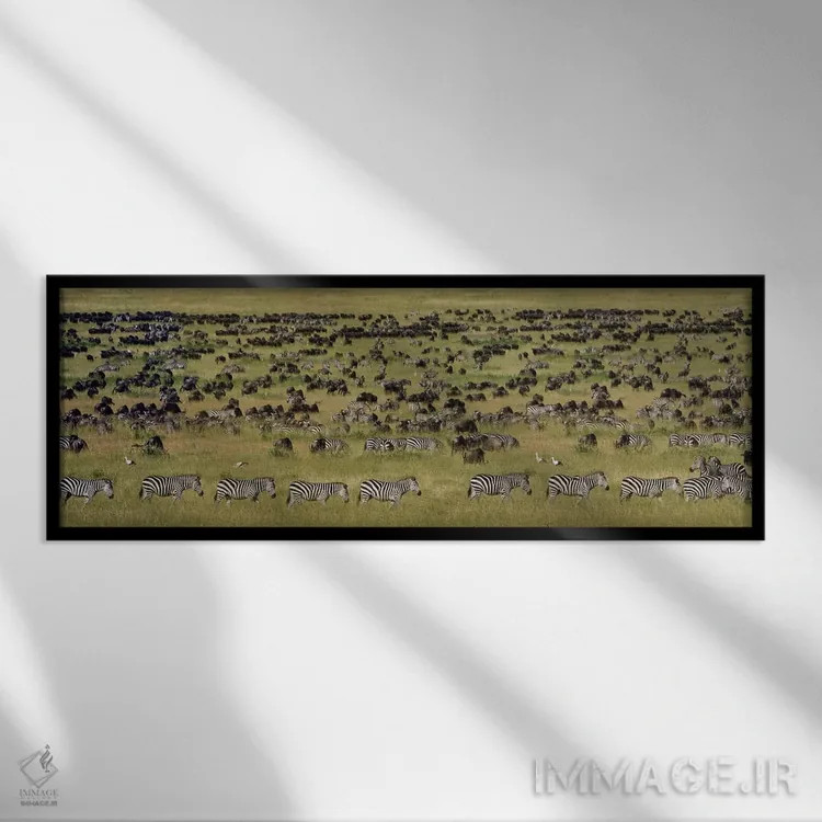 تابلو دکوراتیو Serengeti National Park, Tanzania" - "مهاجرت بزرگ I، پا… اثر پانورامیک ایمجز - نمای قابدار مشکی
