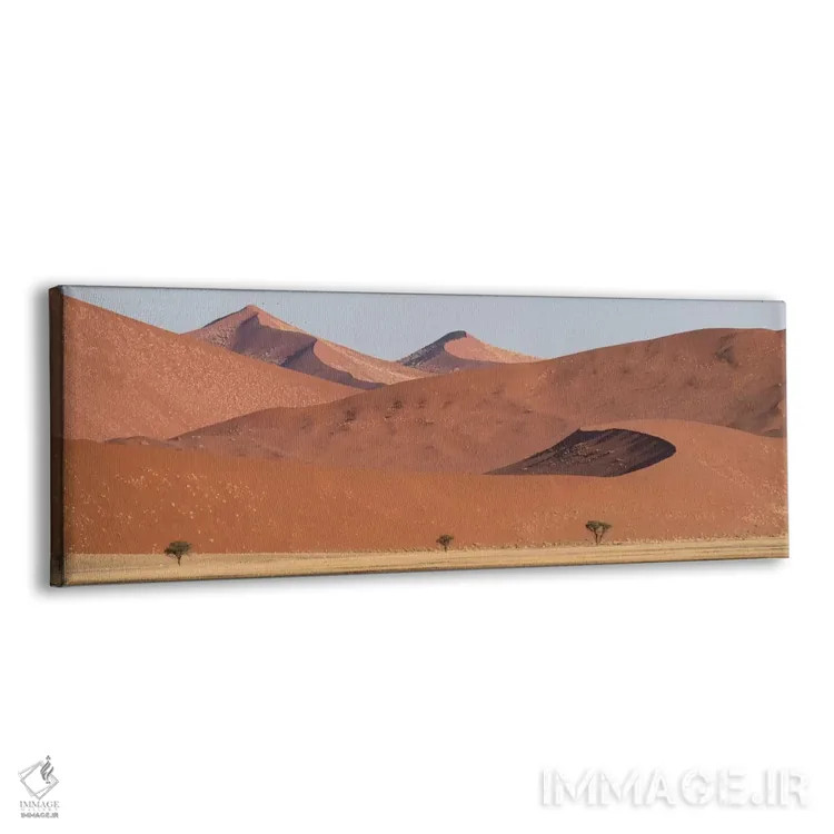 تابلو دکوراتیو Sossusvlei, Namib Desert, Namib-Naukluft National Park… اثر پانورامیک ایمجز - نمای پرسپکتیو محصول