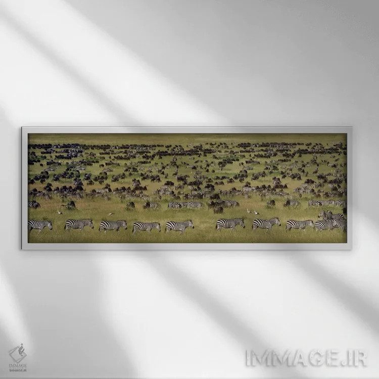 تابلو دکوراتیو Serengeti National Park, Tanzania" - "مهاجرت بزرگ I، پا… اثر پانورامیک ایمجز - نمای قابدار سفید