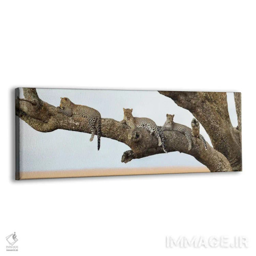تابلو دکوراتیو Serengeti National Park, Tanzania" - "خانواده پلنگ، پار… اثر پانورامیک ایمجز - نمای پرسپکتیو محصول