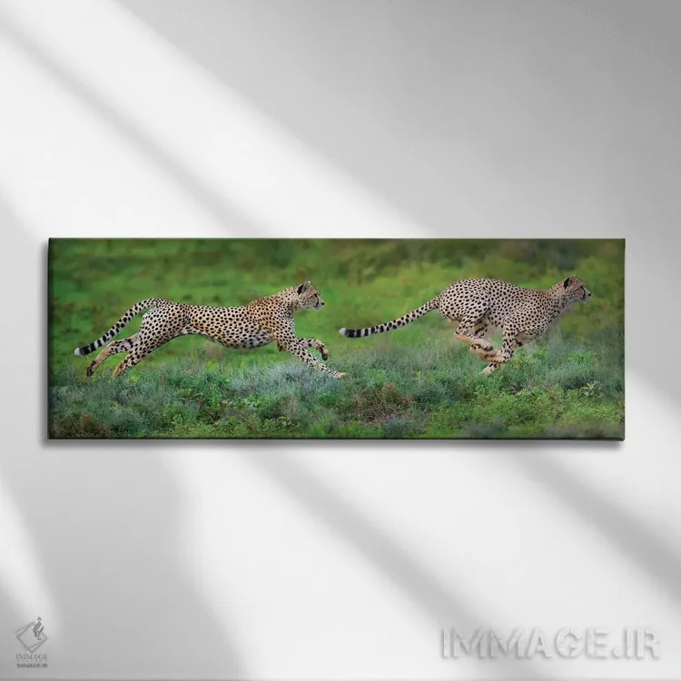 تابلو دکوراتیو Ngorongoro Conservation Area, Crater Highlands, Arusha… اثر پانورامیک ایمجز - نمای روبهرو روی دیوار