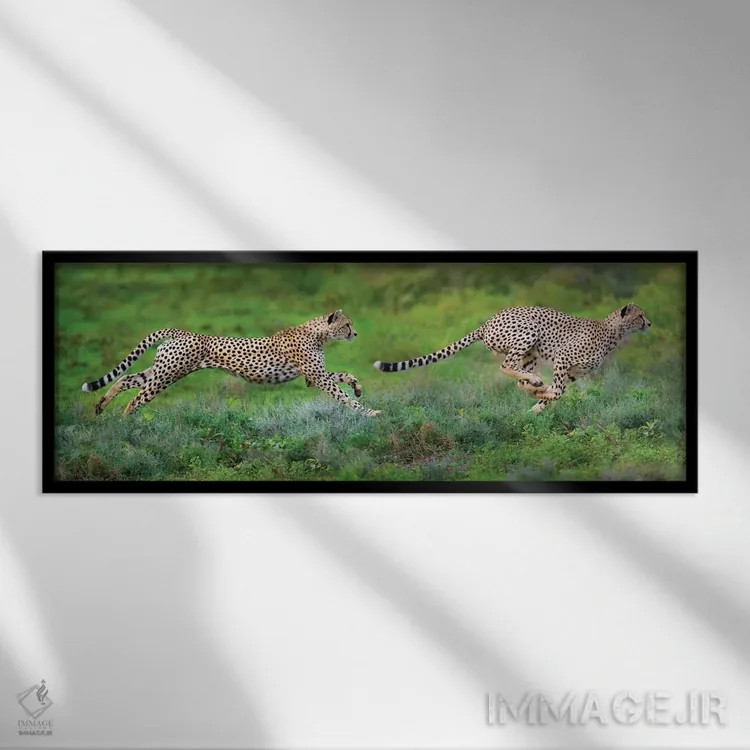تابلو دکوراتیو Ngorongoro Conservation Area, Crater Highlands, Arusha… اثر پانورامیک ایمجز - نمای قابدار مشکی