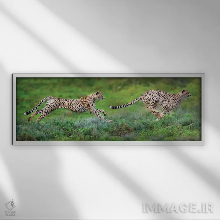 تابلو دکوراتیو Ngorongoro Conservation Area, Crater Highlands, Arusha… اثر پانورامیک ایمجز - نمای قابدار سفید