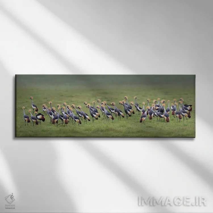 تابلو دکوراتیو Ngorongoro Conservation Area, Crater Highlands, Arusha… اثر پانورامیک ایمجز - نمای روبهرو روی دیوار