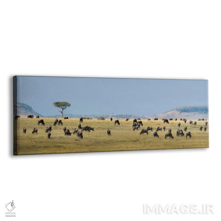 تابلو دکوراتیو Serengeti National Park, Tanzania" - "مهاجرت بزرگ II، پ… اثر پانورامیک ایمجز - نمای پرسپکتیو محصول
