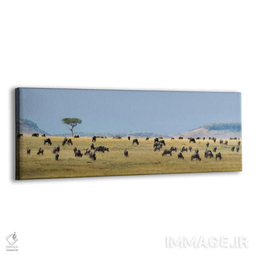 تابلو دکوراتیو Serengeti National Park, Tanzania" - "مهاجرت بزرگ II، پ… اثر پانورامیک ایمجز - نمای پرسپکتیو محصول