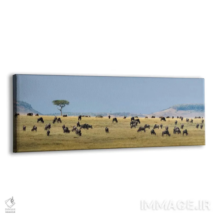 تابلو دکوراتیو Serengeti National Park, Tanzania" - "مهاجرت بزرگ II، پ… اثر پانورامیک ایمجز - نمای پرسپکتیو محصول