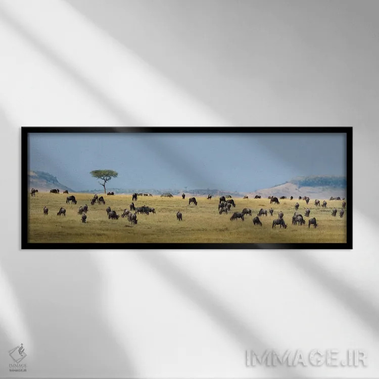تابلو دکوراتیو Serengeti National Park, Tanzania" - "مهاجرت بزرگ II، پ… اثر پانورامیک ایمجز - نمای قابدار مشکی
