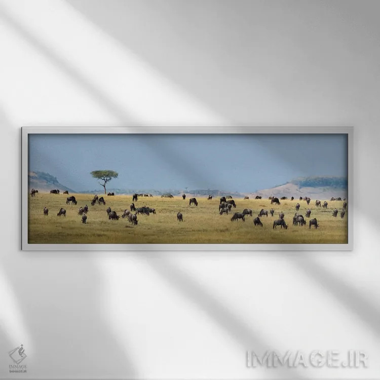 تابلو دکوراتیو Serengeti National Park, Tanzania" - "مهاجرت بزرگ II، پ… اثر پانورامیک ایمجز - نمای قابدار سفید