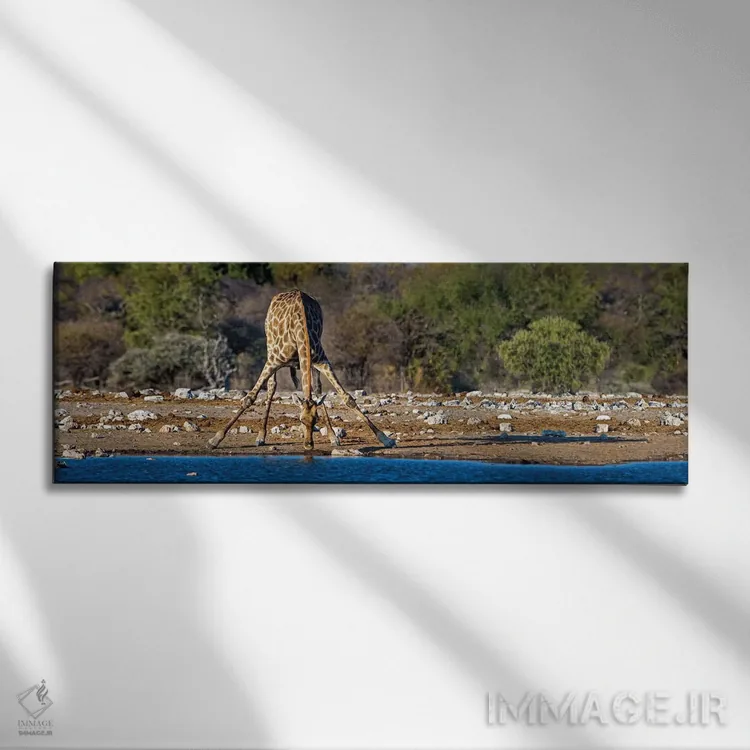 تابلو دکوراتیو Etosha National Park, Namibia" - "زرافه در حوضچه آب II… اثر پانورامیک ایمجز - نمای روبهرو روی دیوار