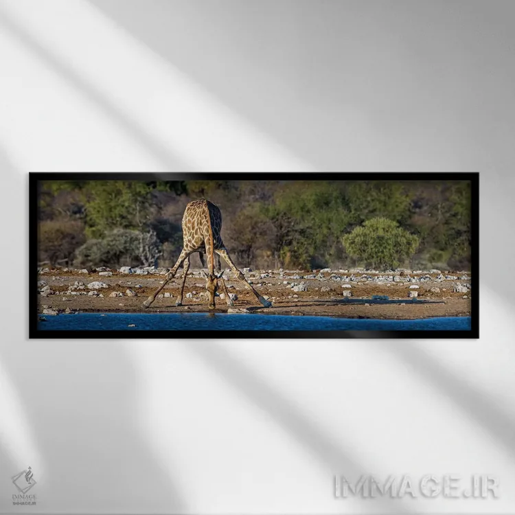 تابلو دکوراتیو Etosha National Park, Namibia" - "زرافه در حوضچه آب II… اثر پانورامیک ایمجز - نمای قابدار مشکی