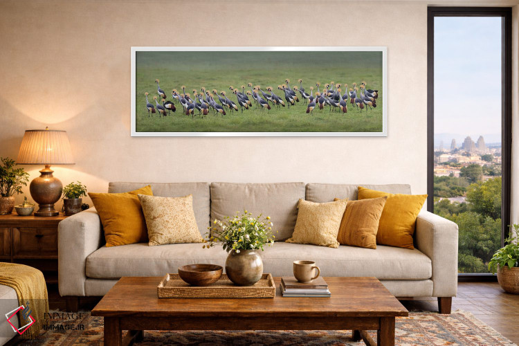 تابلو دکوراتیو Ngorongoro Conservation Area, Crater Highlands, Arusha… اثر پانورامیک ایمجز - D3W