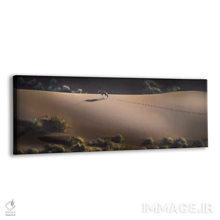 تابلو دکوراتیو Sossusvlei, Namib Desert, Namib-Naukluft National Park… اثر پانورامیک ایمجز - نمای پرسپکتیو محصول