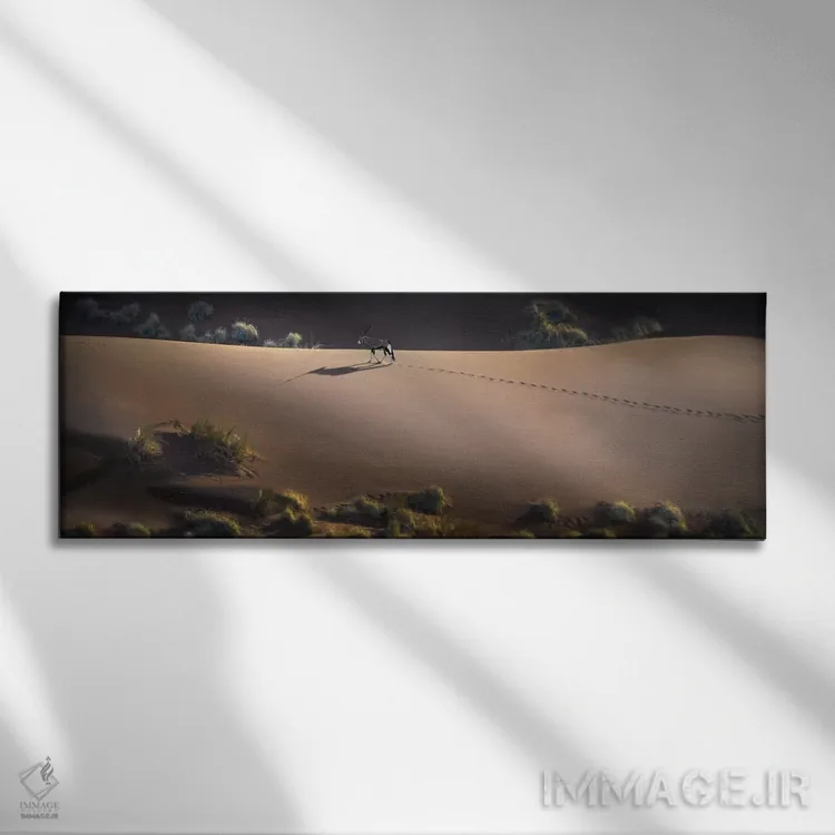 تابلو دکوراتیو Sossusvlei, Namib Desert, Namib-Naukluft National Park… اثر پانورامیک ایمجز - نمای روبهرو روی دیوار