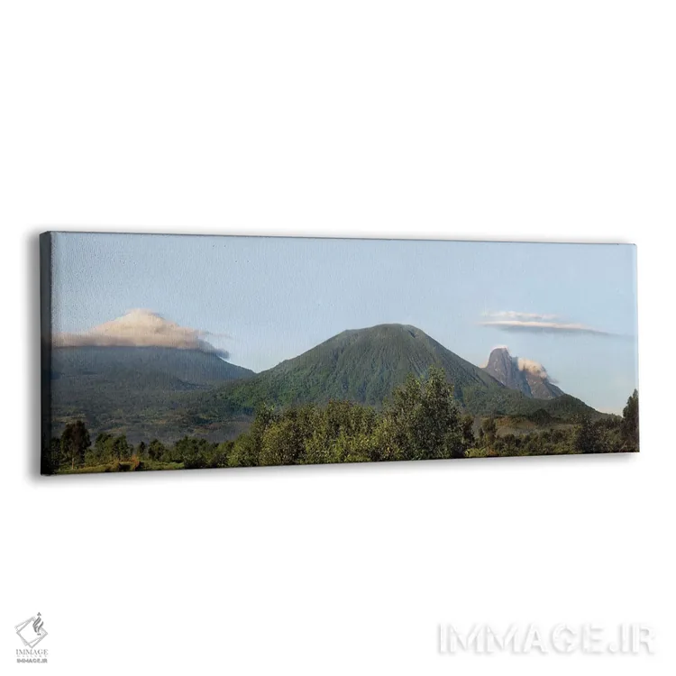 تابلو دکوراتیو Volcanoes National Park , Rwanda" - "منظر جنگل های بارا… اثر پانورامیک ایمجز - نمای پرسپکتیو محصول